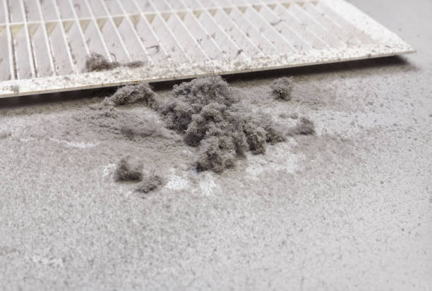 Best Ductwork Cleaning Services  in Westmont, PA
