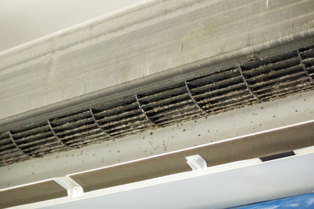 Affordable HVAC Duct Cleaning in Westmont, PA